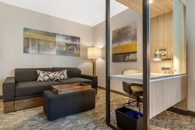 SpringHill Suites by Marriott Charlotte Southwest - Oda