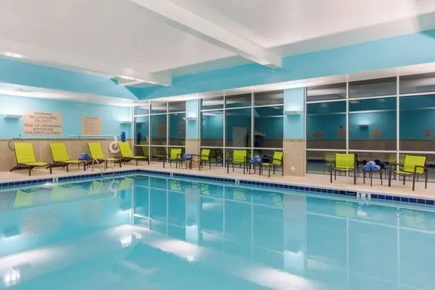 SpringHill Suites by Marriott Chattanooga South/Ringgold, GA - Havuz