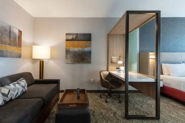 SpringHill Suites by Marriott Chattanooga South/Ringgold, GA - Öne Çıkan Resim