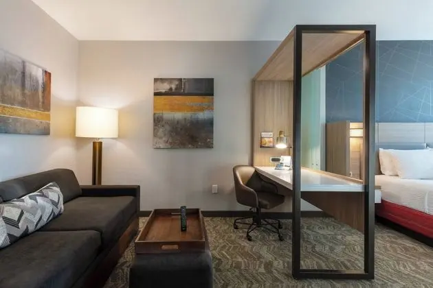SpringHill Suites by Marriott Chattanooga South/Ringgold, GA - Öne Çıkan Resim
