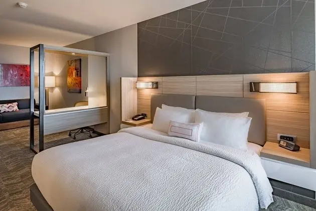 SpringHill Suites by Marriott Dallas Central Expressway - Oda