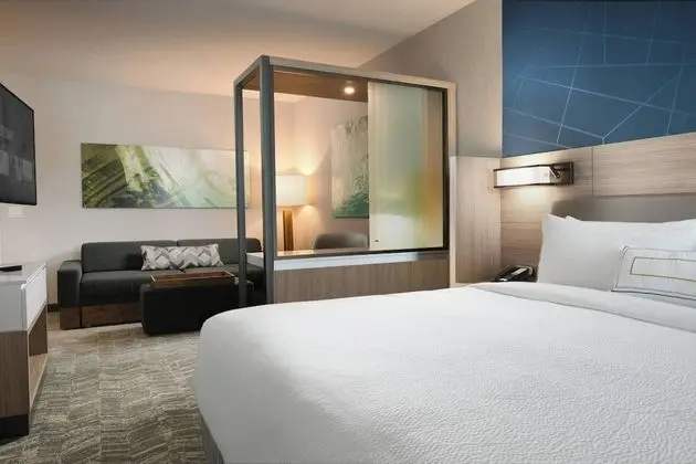 SpringHill Suites by Marriott Dallas DFW Airport South/CentrePort - Oda