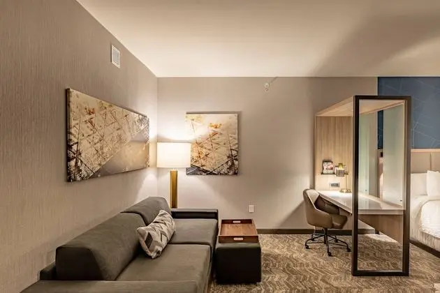 SpringHill Suites by Marriott Dallas McKinney/Allen