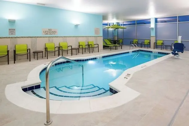 SpringHill Suites by Marriott Denver Parker - Havuz