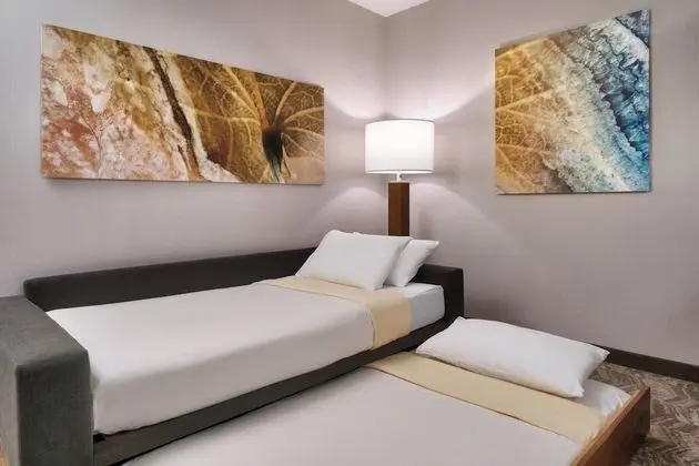 SpringHill Suites by Marriott El Paso Airport - Oda