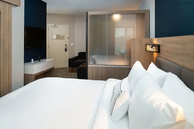 SpringHill Suites by Marriott Elizabethtown - Oda