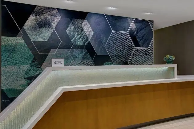 SpringHill Suites by Marriott Franklin Cool Springs - Lobi