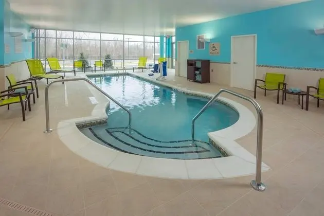 SpringHill Suites by Marriott Frederick - Havuz