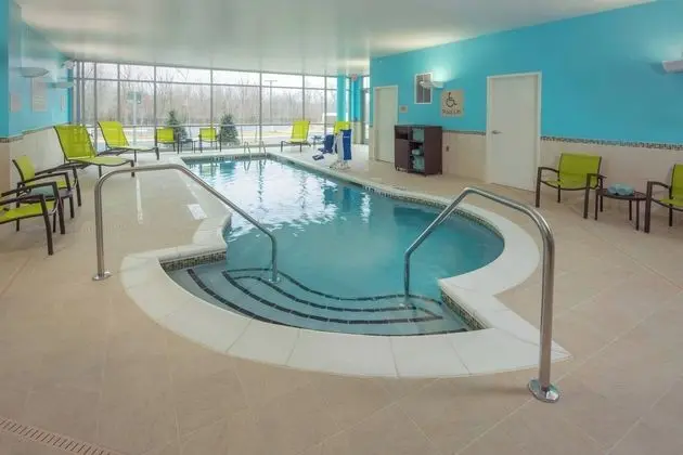 SpringHill Suites by Marriott Frederick - Havuz