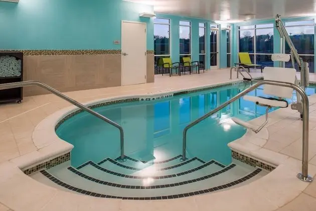 SpringHill Suites by Marriott Greensboro Airport - Havuz
