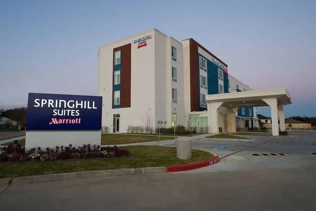 SpringHill Suites by Marriott Houston Hwy. 290/NW Cypress - Dış Mekan