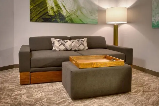 SpringHill Suites by Marriott Idaho Falls - Oda