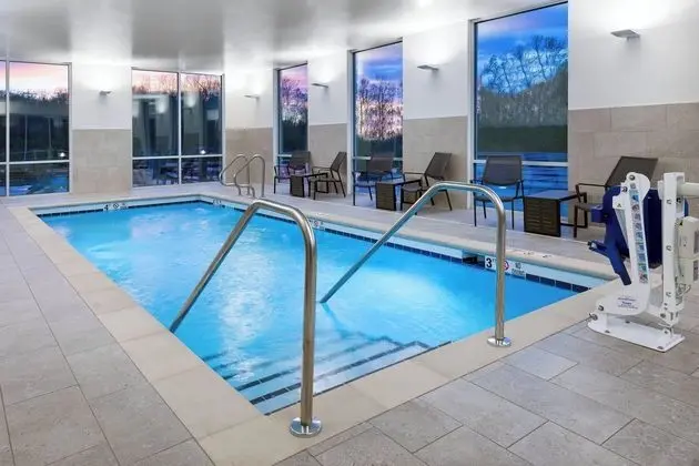 SpringHill Suites by Marriott Indianapolis Westfield - Havuz