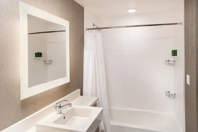 SpringHill Suites by Marriott Irvine Lake Forest - Banyo Tipleri