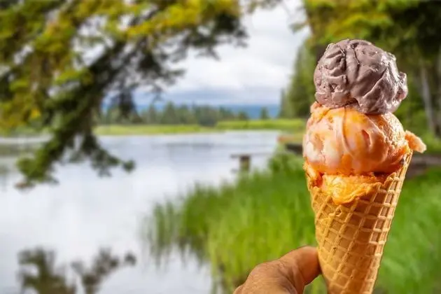 SpringHill Suites by Marriott Island Park Yellowstone - Yerinde Yemek