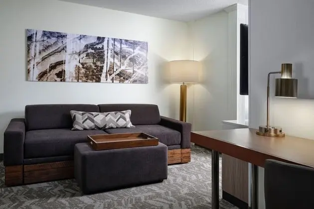 Springhill Suites By Marriott Metro Center - Oda