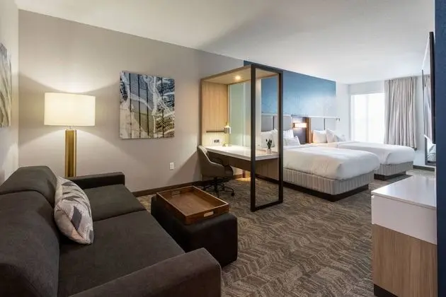 SpringHill Suites by Marriott Minneapolis Maple Grove/Arbor Lakes - Oda