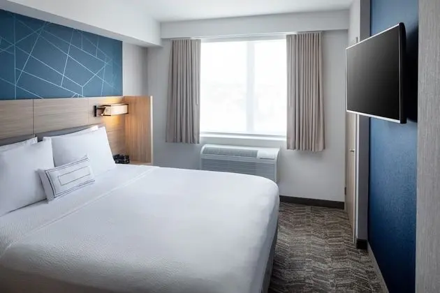 SpringHill Suites by Marriott New York JFK Airport/Jamaica - Oda