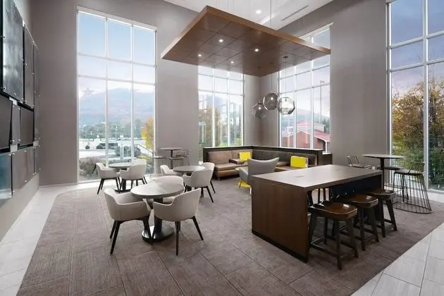 SpringHill Suites by Marriott Roanoke - Lobi
