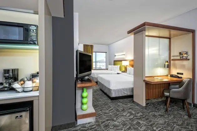 SpringHill Suites by Marriott San Antonio Airport - Oda