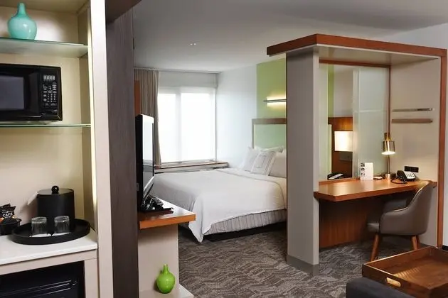 SpringHill Suites by Marriott Sioux Falls - Oda
