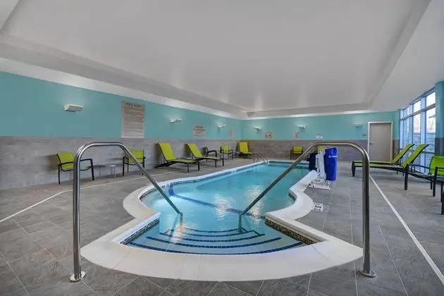 SpringHill Suites by Marriott St. Paul Arden Hills - Havuz