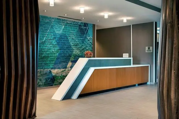 SpringHill Suites by Marriott Tampa Suncoast Parkway - Lobi
