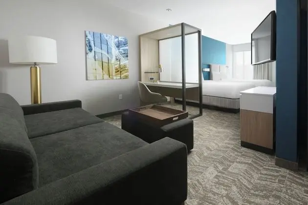 SpringHill Suites by Marriott Texas City - Oda