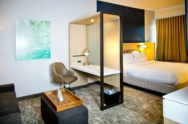 SpringHill Suites by Marriott West Sacramento - Oda