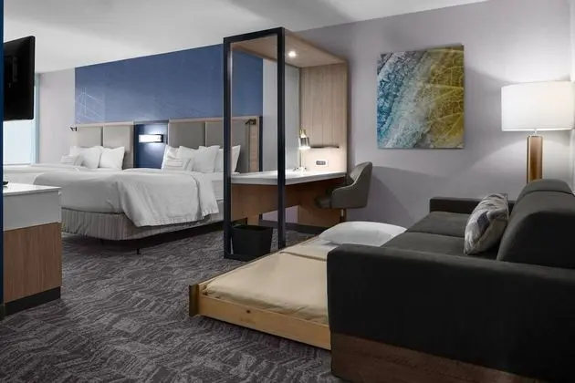SpringHill Suites by Marriott Winchester - Oda
