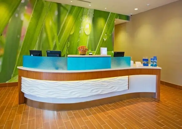 SpringHill Suites Pittsburgh Mt. Lebanon