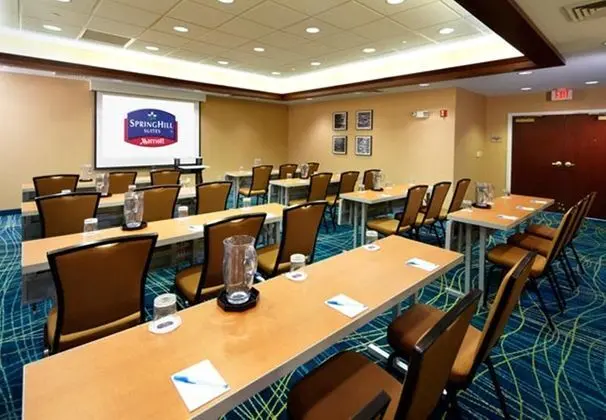 SpringHill Suites Pittsburgh Washington - İş / Konferans