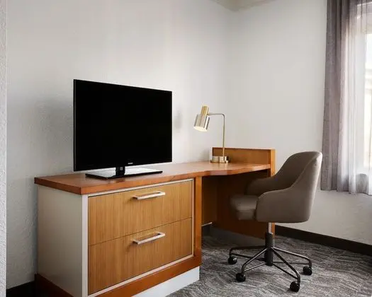 SpringHill Suites San Antonio Downtown/Riverwalk Area - Oda