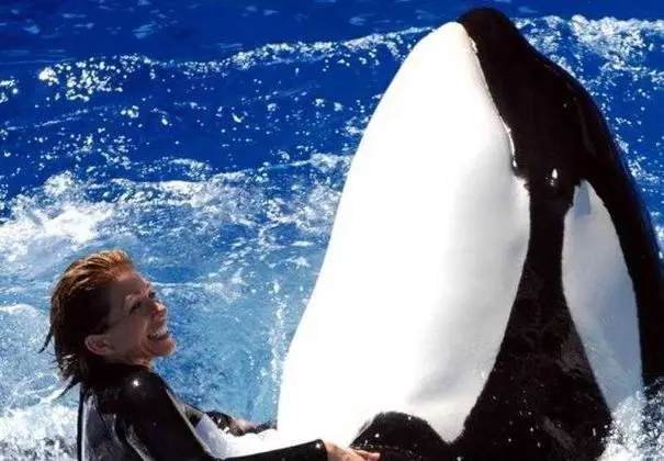 SpringHill Suites San Diego Rancho Bernardo