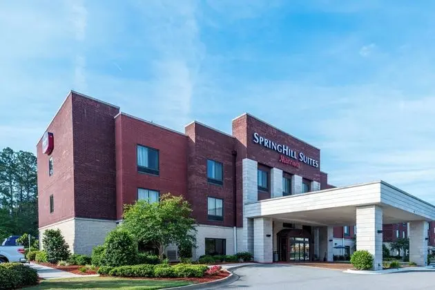Springhill Suites Statesboro University Area - Öne Çıkan Resim
