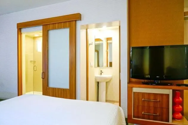 SpringHill Suites Temecula Valley Wine Country - Genel