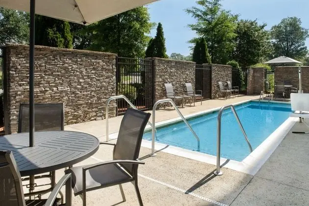 SpringHill Suites Tuscaloosa - Havuz