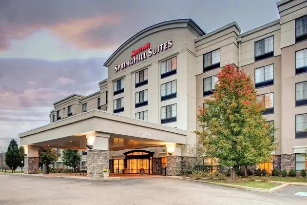 SpringHill Suites Wheeling Triadelphia Area - Öne Çıkan Resim