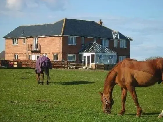 Springwood B&B