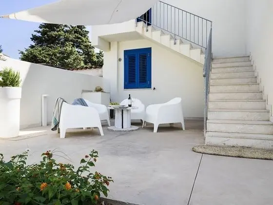 Spuma di Mare - Delfino