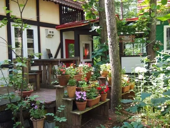 The squirrel's guesthouse Canterbury - Öne Çıkan Resim