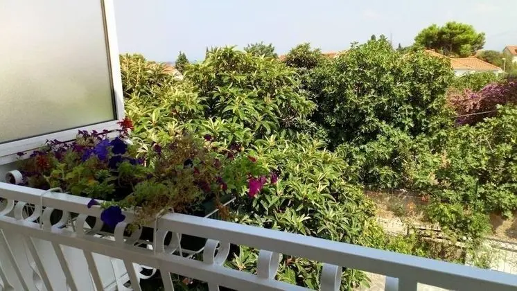 Sreca - 150m From the Beach - A1 - Zeleni