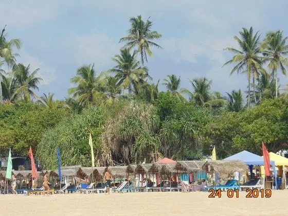 Sri Lankan Villa - Plaj