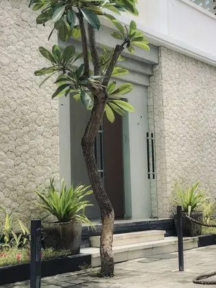 Srikrisna Homestay