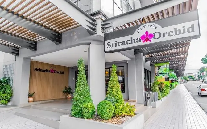 Sriracha Orchid