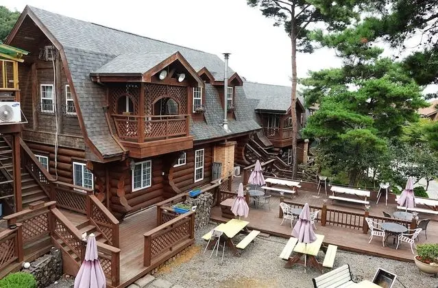 SSE Log Town