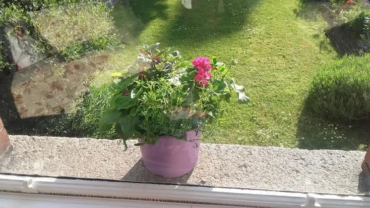 St. Aiden's Guesthouse - Dış Mekan