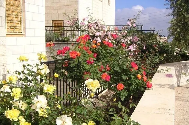 St Andrews Guesthouse Ramallah - Dış Mekan