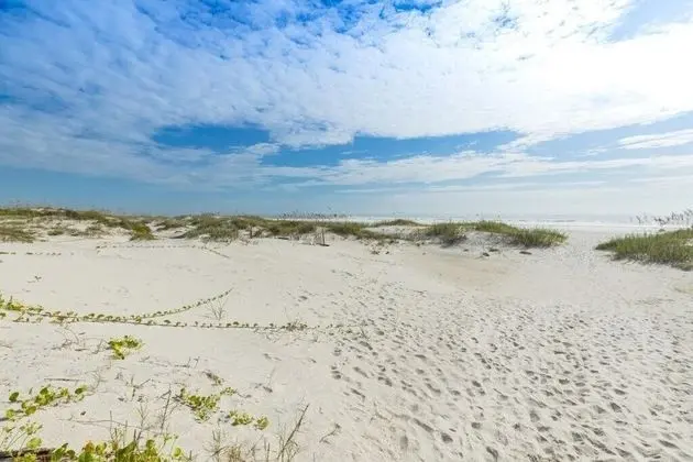 St Augustine Beach And Tennis 405 - Plaj