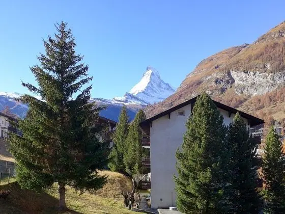 St Bernhard Zermatt